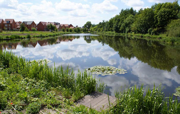 bakers-pond-thumb