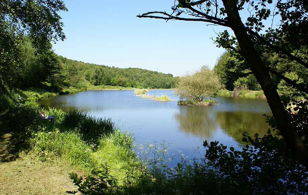 home-waters